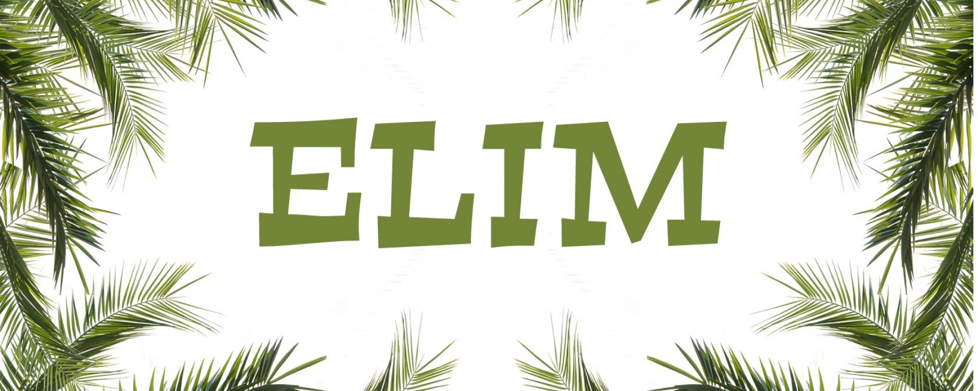 Elim