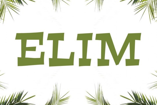 Elim