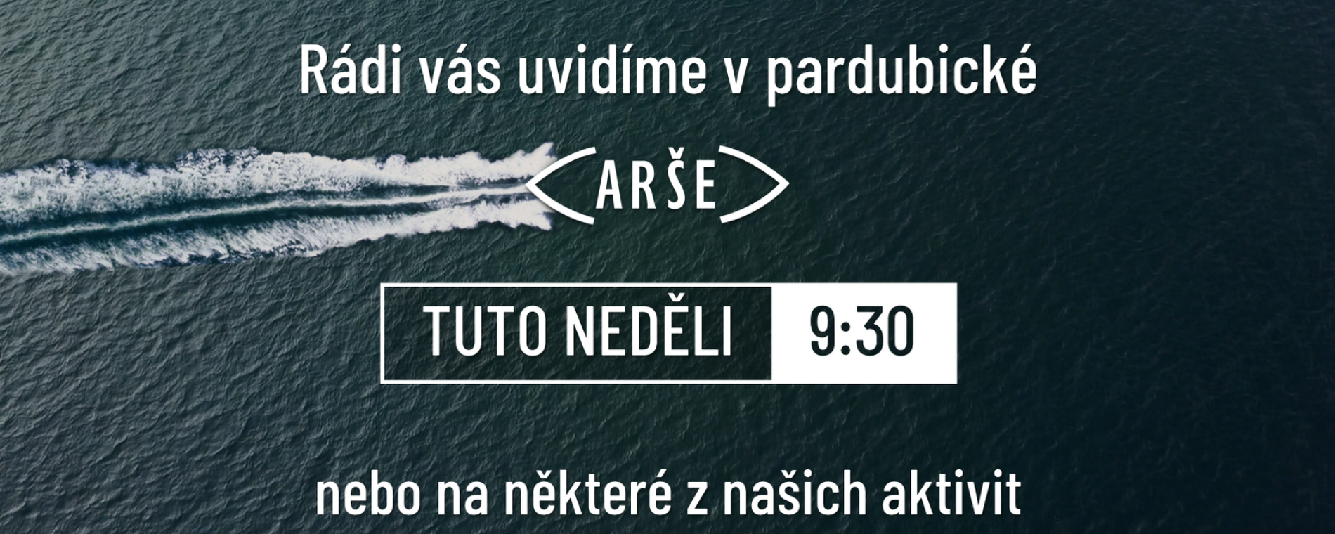 Informace z Archy