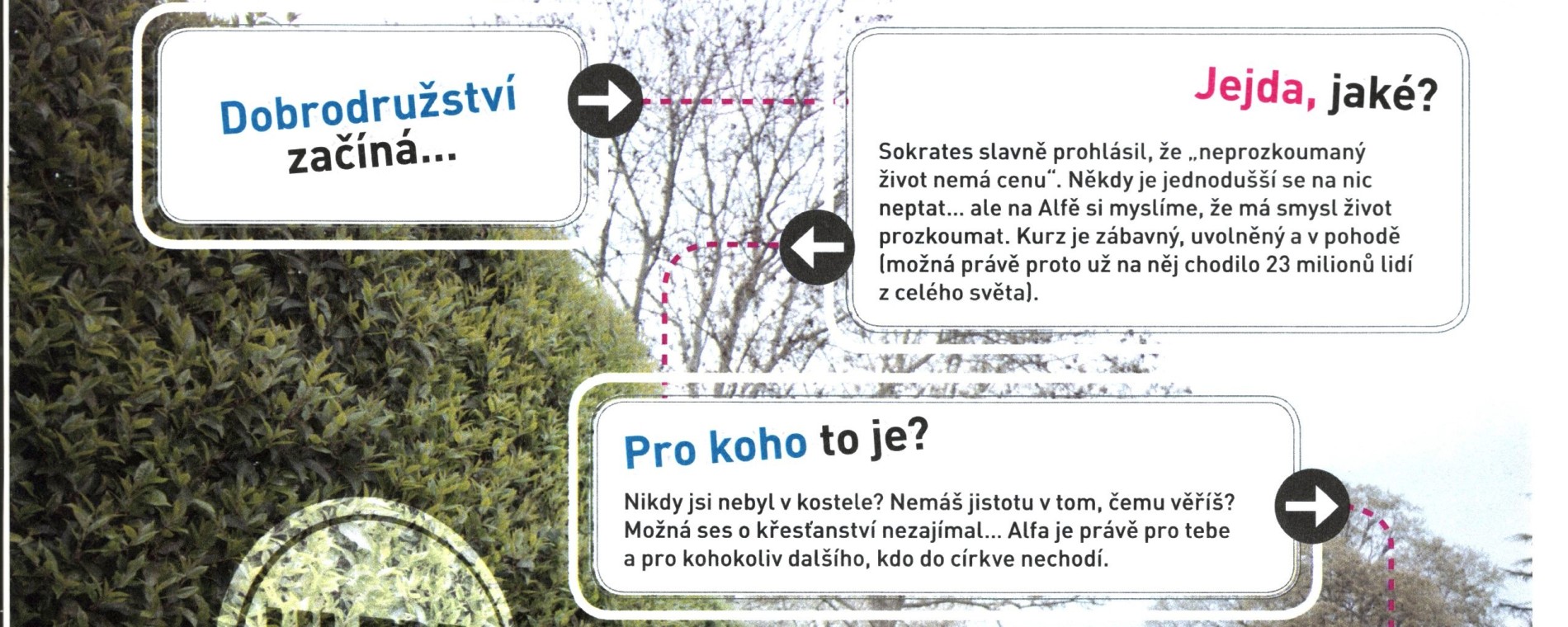 Kurz Alfa