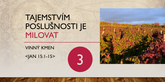 Vinný kmen: Tajemstvím poslušnosti je milovat