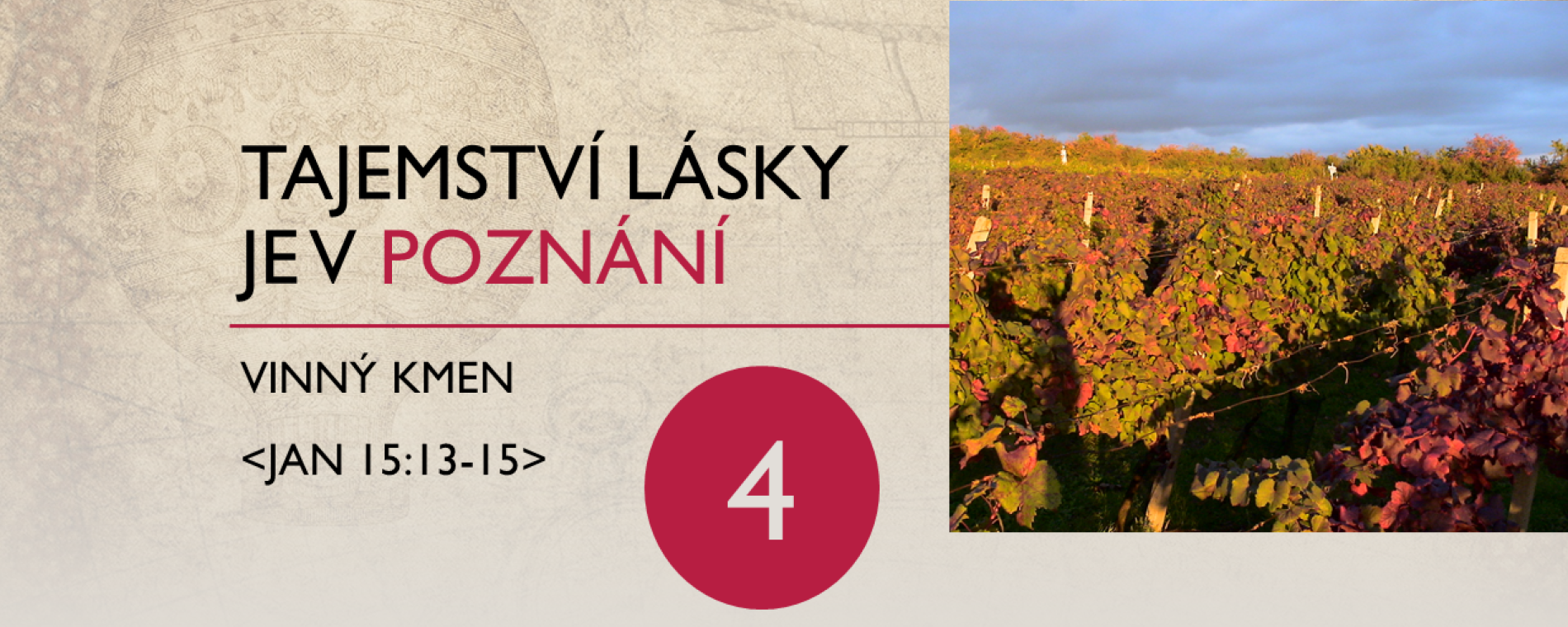Vinný kmen: Tajemství lásky je v poznání
