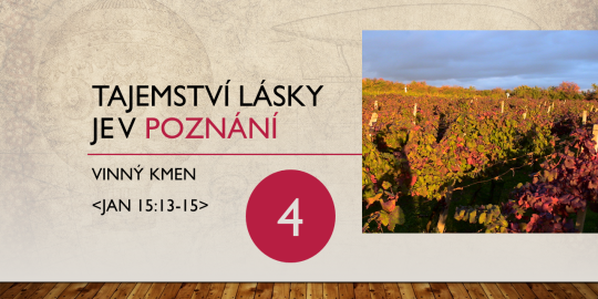 Vinný kmen: Tajemství lásky je v poznání