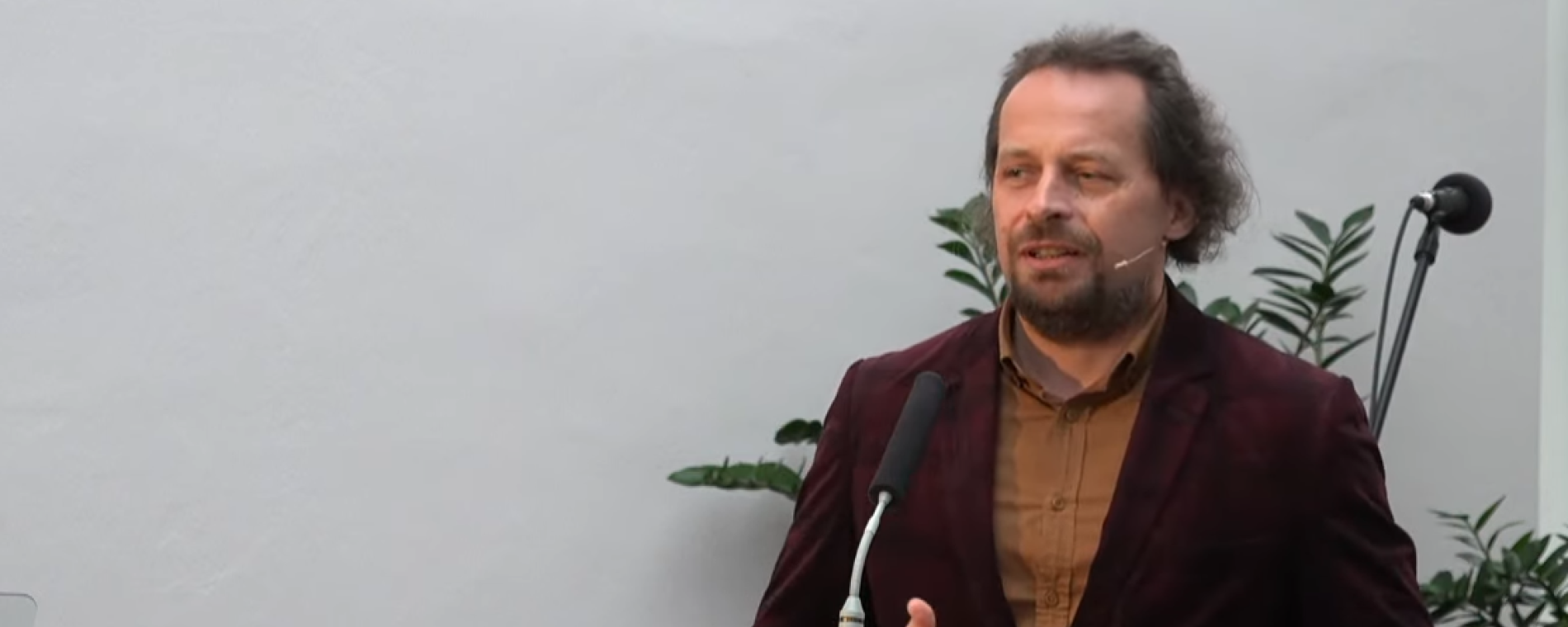 2. adventní neděle